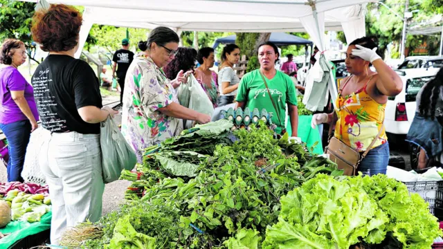 Imagem ilustrativa da notícia Agricultura familiar une tradição e negócios