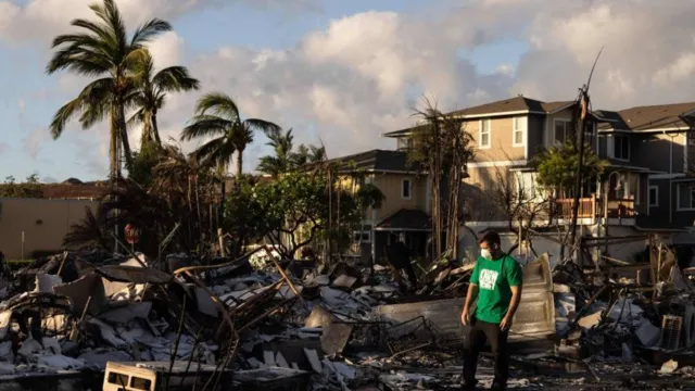 Imagem ilustrativa da notícia Incêndio florestal no Havaí mata quase 100 pessoas