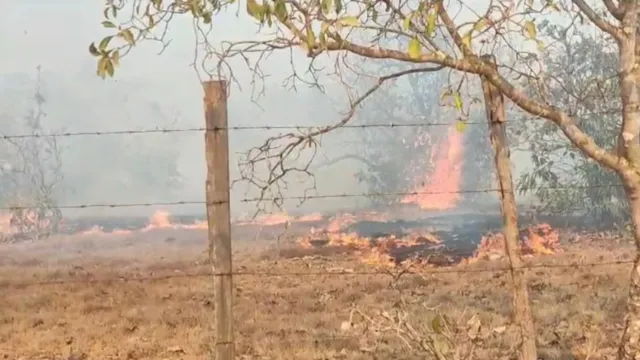 Imagem ilustrativa da notícia Vídeo: Incêndio pode atingir Parque Estadual de Monte Alegre