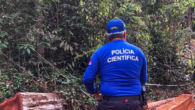 Imagem ilustrativa da notícia Polícia Científica do Pará terá concurso com 246 vagas