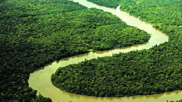 Imagem ilustrativa da notícia Pará será o centro da agenda do meio ambiente em agosto