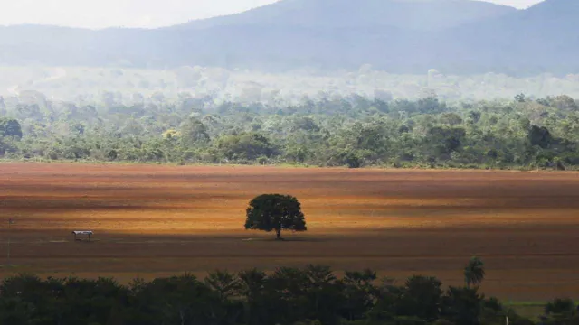 Imagem ilustrativa da notícia Desmatamento cai na Amazônia, mas aumenta no Cerrado