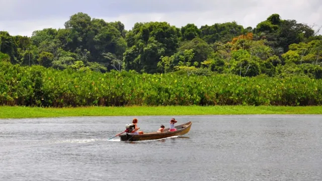 Imagem ilustrativa da notícia Projetos de restauração do Xingu podem receber R$ 26 milhões
