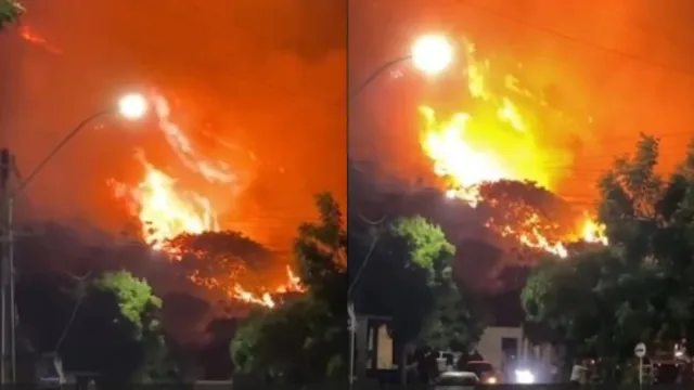 Imagem ilustrativa da notícia Vídeo: incêndio atinge área de mata em Canaã dos Carajás