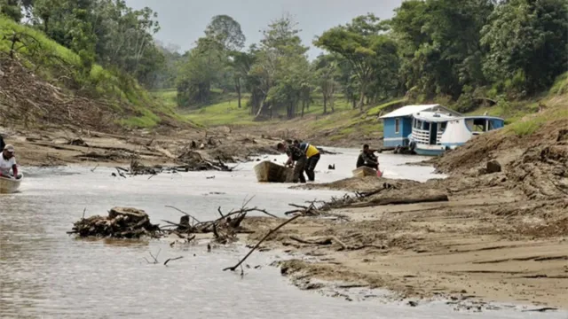 Imagem ilustrativa da notícia Seca no Amazonas pode deixar 500 mil sem água e comida