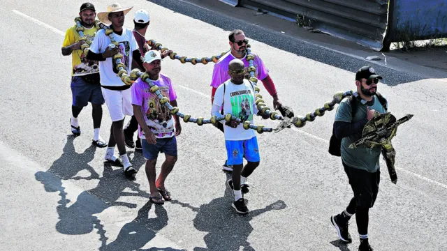 Imagem ilustrativa da notícia Círio 2023: romeiros se preparam para a caminhada