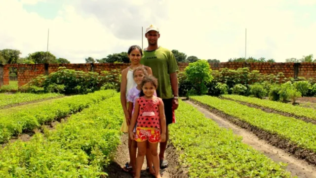 Imagem ilustrativa da notícia CEDRS reúne agricultores em Belém nesta terça-feira (29)