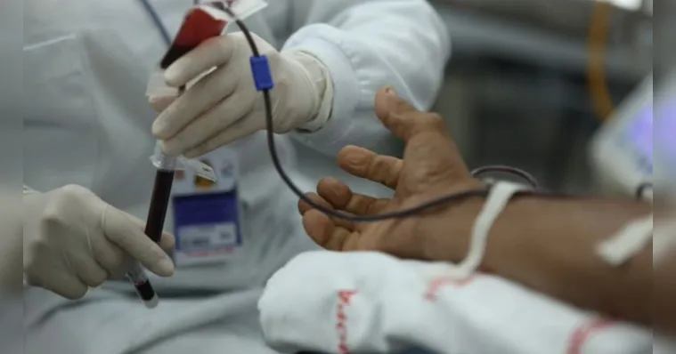 Imagem ilustrativa da notícia Pará: lei incentiva empresas a promoverem doação de sangue