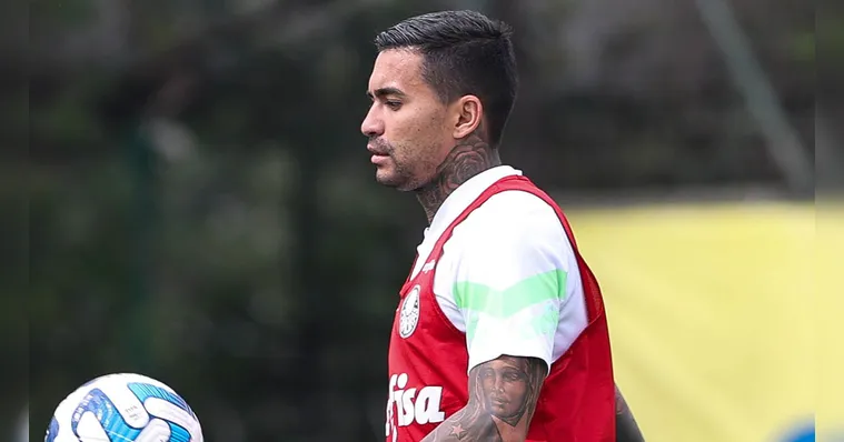 Imagem ilustrativa da notícia Palmeiras terá força máxima para desafio na Libertadores