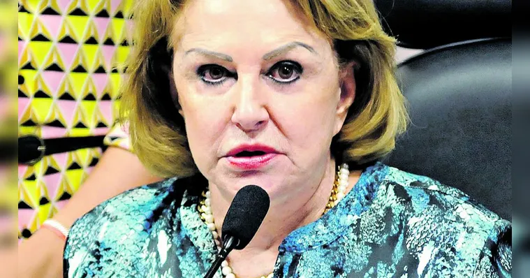 Imagem ilustrativa da notícia Elcione assume vice-presidência de comissão na Câmara