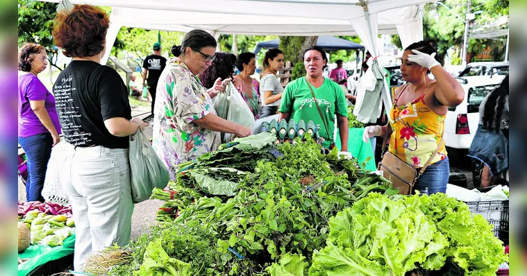 Imagem ilustrativa da notícia Agricultura familiar une tradição e negócios