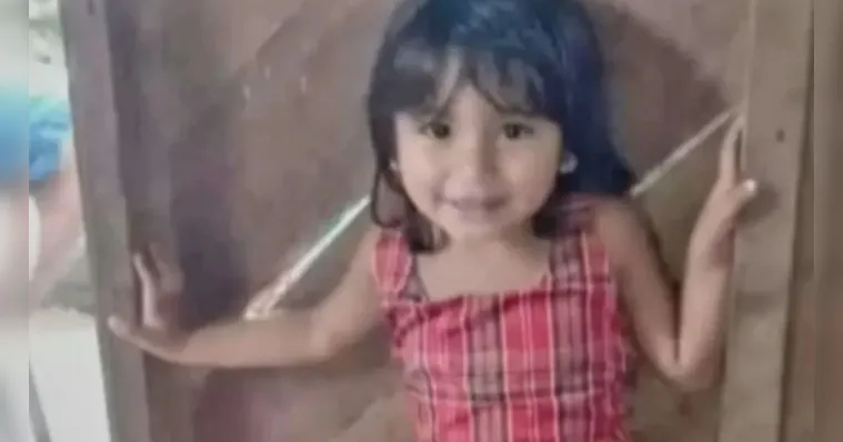 Imagem ilustrativa da notícia Justiça manda retomar buscas pela menina Eliza em Anajás
