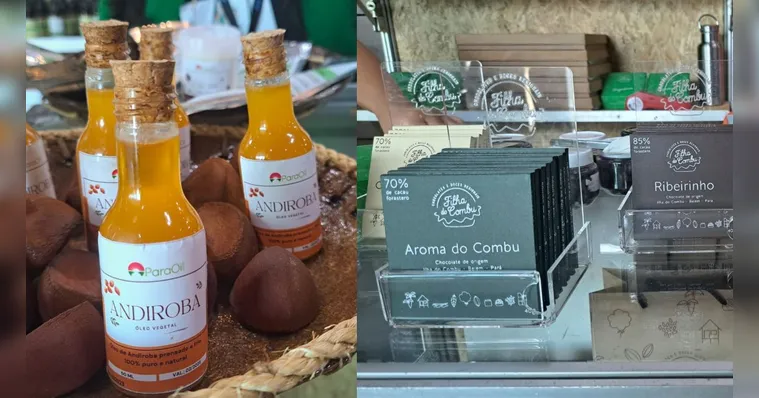 Imagem ilustrativa da notícia A marca Amazônia e o impacto no mercado 