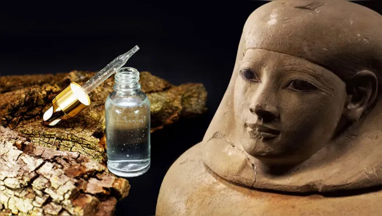 Imagem ilustrativa da notícia Cientistas recriam "cheiro" usado na mumificação no Egito