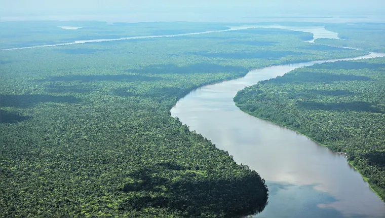 Imagem ilustrativa da notícia Pará sedia a Cúpula da Amazônia essa semana