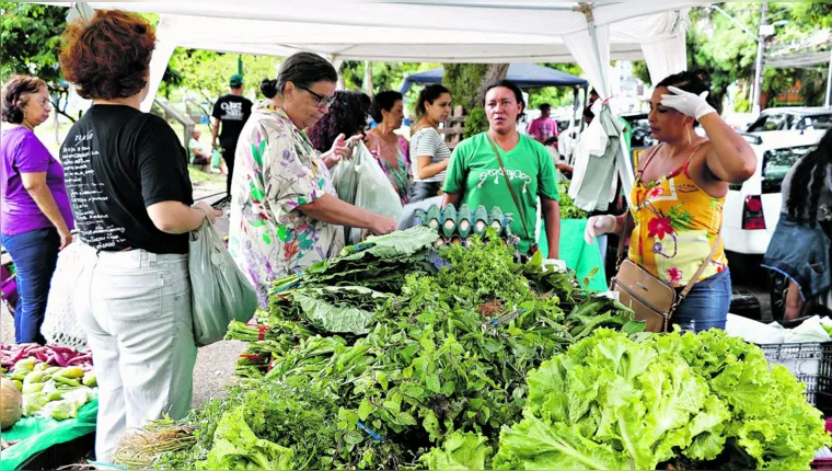 Imagem ilustrativa da notícia Agricultura familiar une tradição e negócios