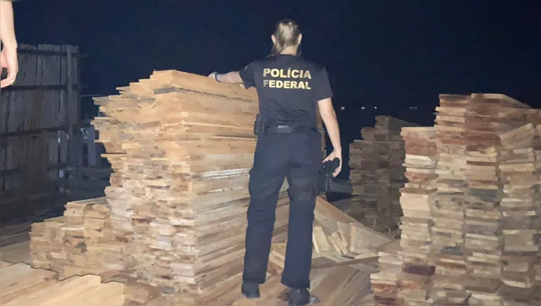 Imagem ilustrativa da notícia PF prende madeireiro suspeito de furtar madeira apreendida
