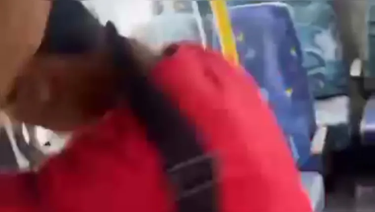 Imagem ilustrativa da notícia Vídeo: homem é vítima de importunação sexual em ônibus