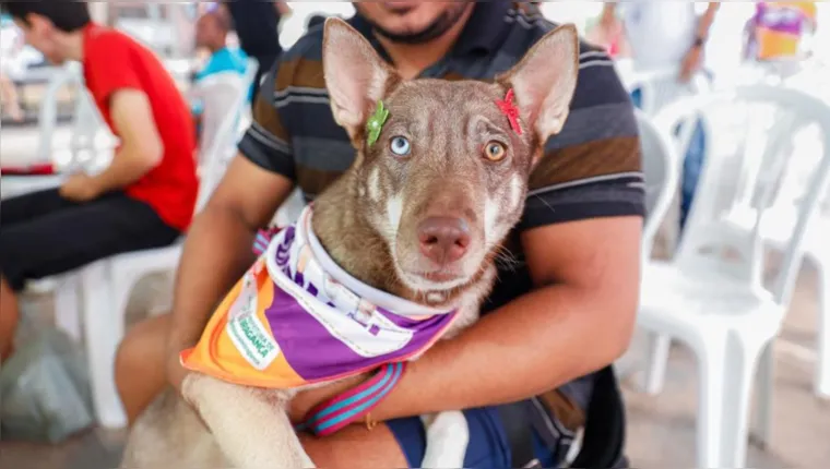 Imagem ilustrativa da notícia Ação realiza castração de cães e gatos em Bragança