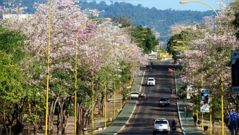 Imagem ilustrativa da notícia Parauapebas entre as 100 cidades mais inteligentes do Brasil