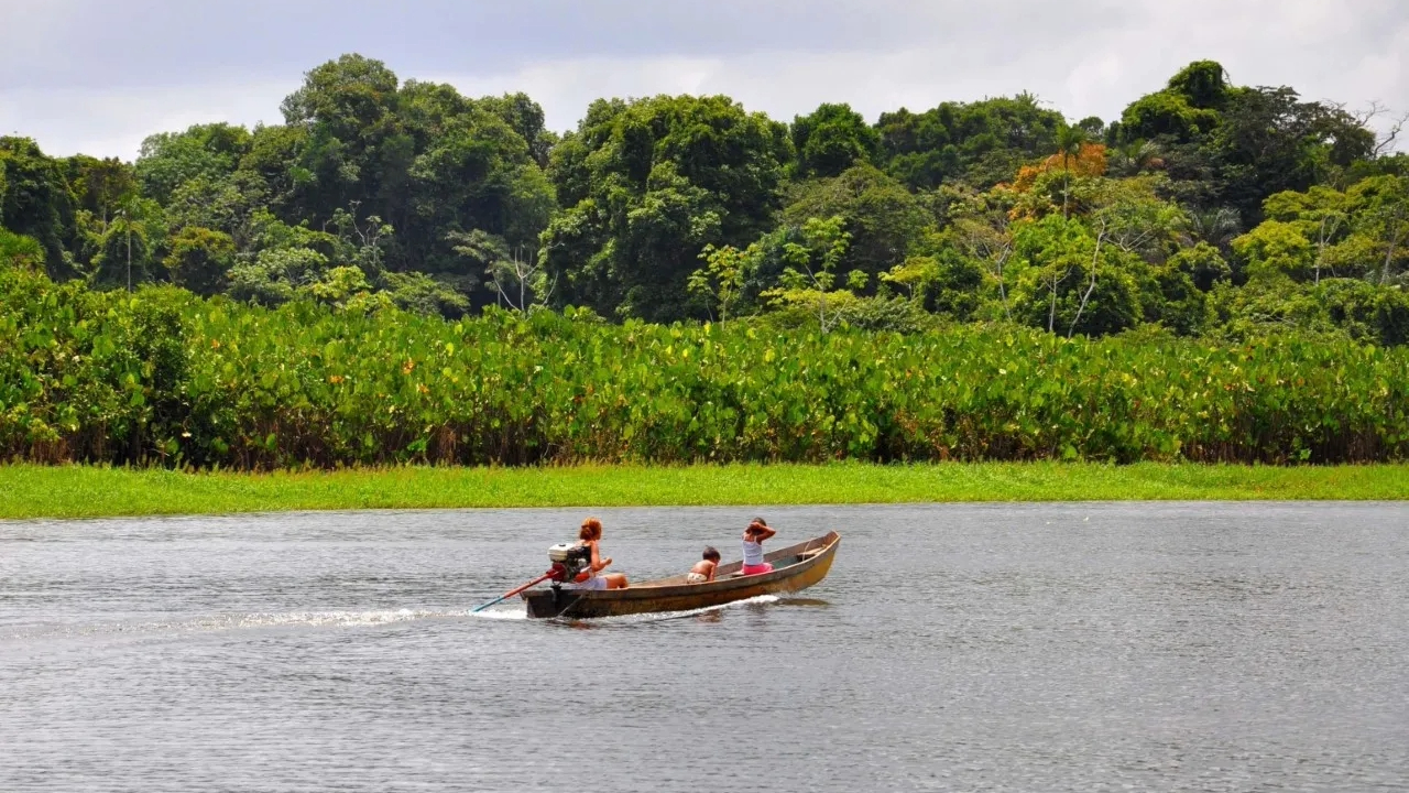 Projetos de restauração do Xingu podem receber R$ 26 milhões