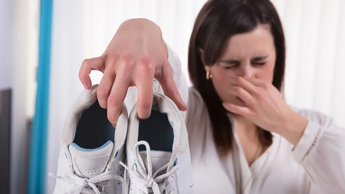 Imagem ilustrativa da notícia: "Chulé" e mau odor atraem insetos para casa?