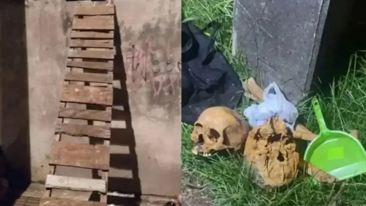 Com as suspeitas foram encontrados crânios humanos e ossos, alé, de um caderno contendo anotações relacionadas a rituais.