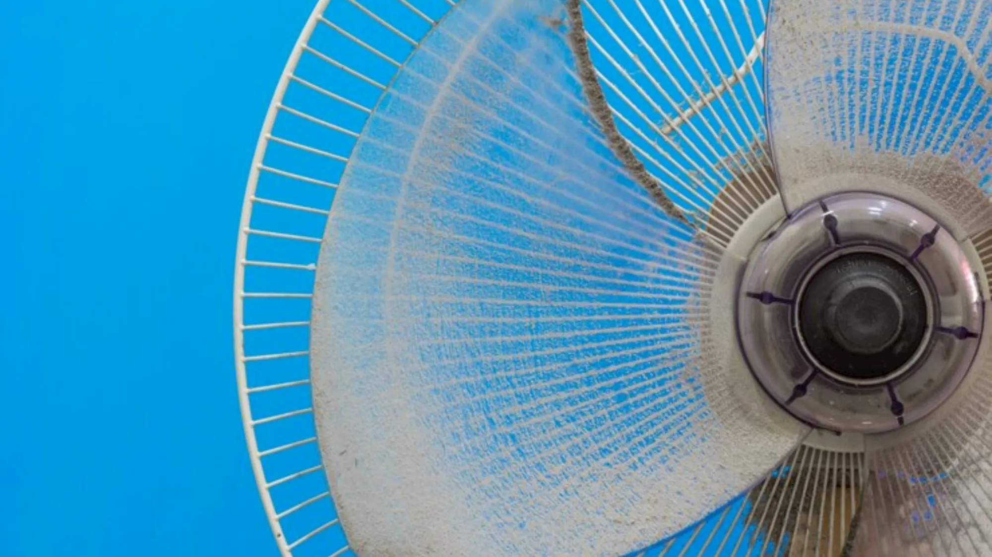 Imagem ilustrativa da notícia: Ventiladores cheios de sujeira atraem insetos? Saiba aqui!