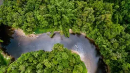 Floresta amazônica