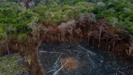 Área de floresta amazônica destruída pelo fogo em Autazes, no Amazonas, em setembro