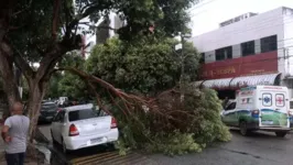 Carro branco por pouco não sofreu danos maiores