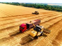 Imagem ilustrativa da notícia Qual é a melhor escolha para as máquinas agrícolas?