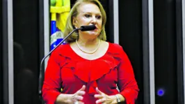 Deputada Elcione: “Não temos dúvidas de que a implementação de nossa iniciativa representará um marco na economia brasileira”