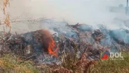 Fogo na Área de Preservação Permanente (APP) em Marabá