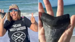 O fóssil foi encontrado na Flórida