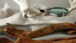 Múmia sendo analisada por arqueólogos