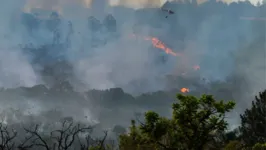 O estado sofre com mais de 30 mil focos de incêndio