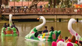 Pedalinhos coloriram o ver-o-rio em Belém