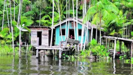 PL do senador Jader Barbalho prevê construção de residências típicas da arquitetura amazônica