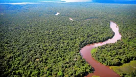 Conferência é considerada o mais importante encontro mundial relacionado ao clima do planeta e terá Belém como cidade-sede em 2025