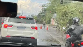 Várias árvores e parte de um muro foram derrubados após a ventania que veio com a chuva neste domingo (08) na Grande Belém (PA)