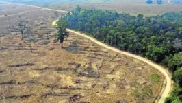 Na Amazônia, porém, a destruição da floresta foi de 590,3 km²