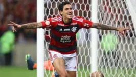 Os dois gols de Pedro na vitória por 3 a 0 sobre o Palmeiras ajudaram o Flamengo a entrar na briga pelo título do Brasileirão.