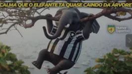 Imagem ilustrativa da notícia Botafogo perde mais uma e  vira meme