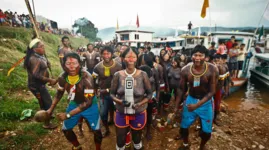 Por quatro anos seguidos, a Terra Apyterewa, em São Félix do Xingu, no sudeste do Pará, é a área indígena protegida que teve a maior extensão de floresta derrubada na Amazônia