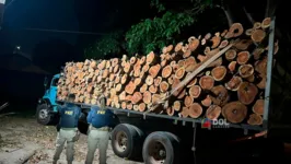 Madeira foi apreendida na BR-155, em Marabá