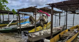 Imagem ilustrativa da notícia Tragédia causada pela Braskem atinge pescadores em Maceió