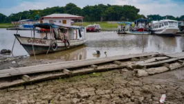 Imagens da seca no Amazonas.