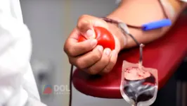 Hemopa promove vasta programação da Semana do Doador de Sangue 2023