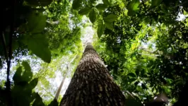 A instituição está apta a receber propostas desde fevereiro deste ano.